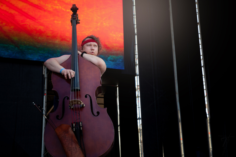 Steve`n`Seagulls